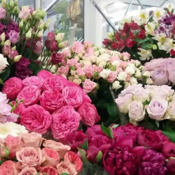 Продажа действующего бутика цветов в Киеве